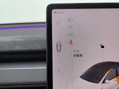 Tesla Model Y Edition - ფოტო 13