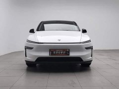 Tesla Model Y Edition - ფოტო 3