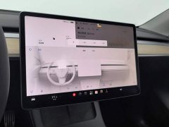 Tesla Model Y Standard Range Edition - ფოტო 12