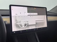 Tesla Model Y Standard Range Edition - ფოტო 12