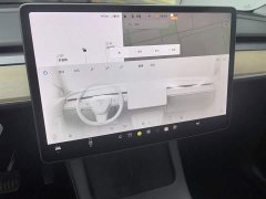 Tesla Model Y Long Range Edition 3D7 - ფოტო 12