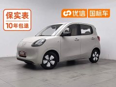 BMW MINIEV Edition - ფოტო 1