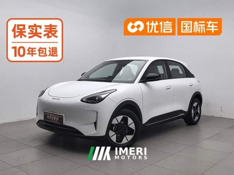 2025 Geely 310km Edition - ავტომობილი ჩინეთიდან