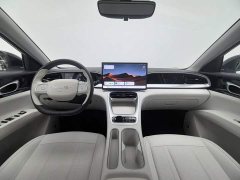 BMW 310km Edition - ფოტო 5