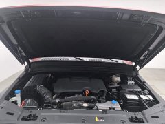 Tank 300 Off-Road Edition 2.0T - ფოტო 6