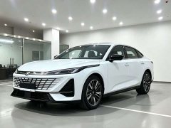 Changan 1.5T 500Bar Version - ფოტო 1