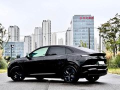 BMW L60 60kWh Edition - ფოტო 6