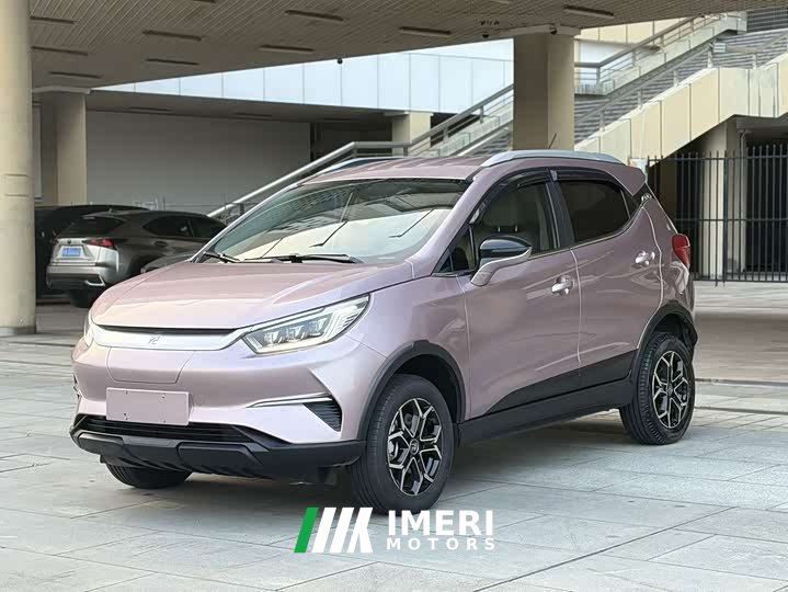 BYD Pro 320KMLuxury Version - ავტომობილი ჩინეთიდან