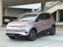 BYD Pro 320KMLuxury Version - ფოტო 1