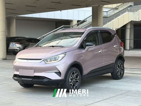 2023 BYD Pro 320KMLuxury Version - ავტომობილი ჩინეთიდან