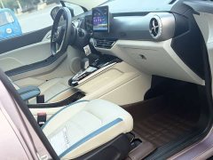 BYD Pro 320KMLuxury Version - ფოტო 13