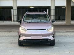BYD Pro 320KMLuxury Version - ფოტო 2