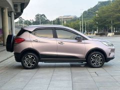 BYD Pro 320KMLuxury Version - ფოტო 5