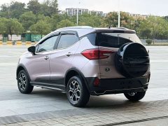 BYD Pro 320KMLuxury Version - ფოტო 8