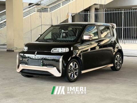 2022 Ora Edition 401km Flagship Version - ავტომობილი ჩინეთიდან