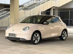 Ora 400kmStandard Range Edition - ფოტო 1