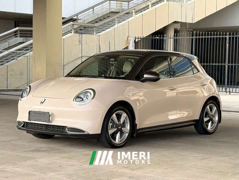 2021 Ora Good Cat 400kmStandard Range Edition - ავტომობილი ჩინეთიდან