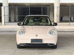 Ora 400kmStandard Range Edition - ფოტო 2