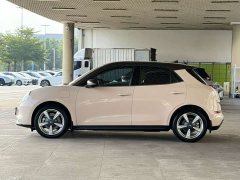 Ora 400kmStandard Range Edition - ფოტო 4