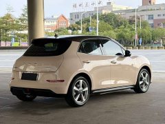 Ora 400kmStandard Range Edition - ფოტო 5
