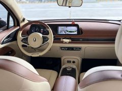 Ora 400kmStandard Range Edition - ფოტო 8