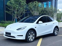 Tesla Model Y Edition - ფოტო 1