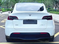 Tesla Model Y Edition - ფოტო 10