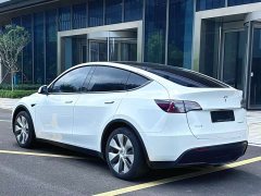 Tesla Model Y Edition - ფოტო 11