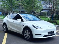 Tesla Model Y Edition - ფოტო 3