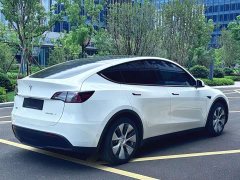 Tesla Model Y Edition - ფოტო 9
