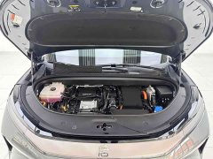 BYD L DM 175KM Edition - ფოტო 6