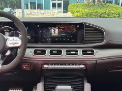 Mercedes-Benz GLE AMG GLE 53 4MATIC 55Anniversary Edition - ფოტო 10