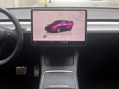 Tesla Model Y Edition - ფოტო 12
