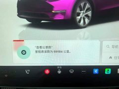 Tesla Model Y Edition - ფოტო 14