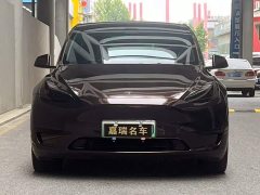 Tesla Model Y Edition - ფოტო 2