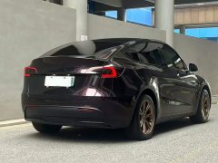 Tesla Model Y Edition - ფოტო 5