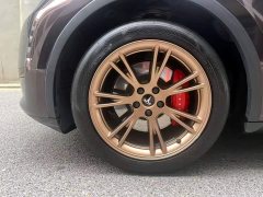 Tesla Model Y Edition - ფოტო 6