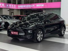 Tesla Model Y Edition - ფოტო 1