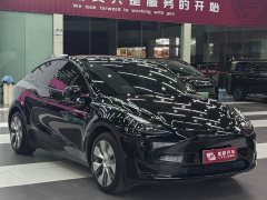 Tesla Model Y Edition - ფოტო 3