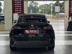 Tesla Model Y Edition - ფოტო 5
