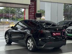 Tesla Model Y Edition - ფოტო 6