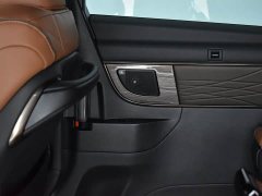 Toyota Vellfire 2.5L Edition - ფოტო 18