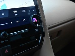 Toyota Alphard 2.5L Edition - ფოტო 16