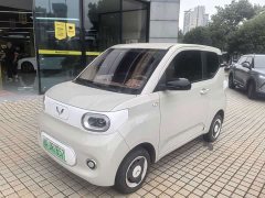 Wuling MINIEV 215km Edition - ფოტო 1