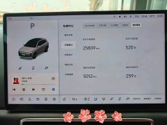 Li Auto L6 Pro - ფოტო 14