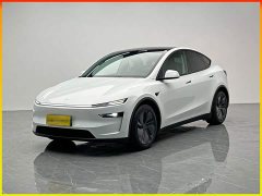 Tesla Model Y Edition - ფოტო 1
