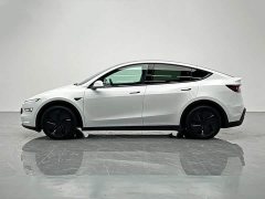Tesla Model Y Edition - ფოტო 3