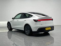 Tesla Model Y Edition - ფოტო 4