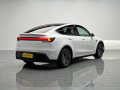 Tesla Model Y Edition - ფოტო 6