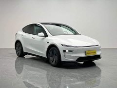 Tesla Model Y Edition - ფოტო 8